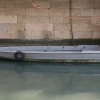 Barque lisse