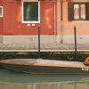 Barque brune
