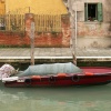 Barque Garance