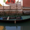 Barque vert sombre